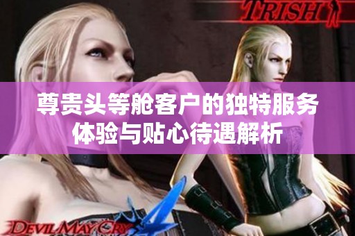 尊贵头等舱客户的独特服务体验与贴心待遇解析