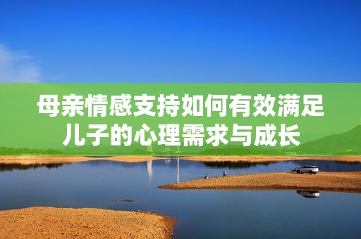 母亲情感支持如何有效满足儿子的心理需求与成长
