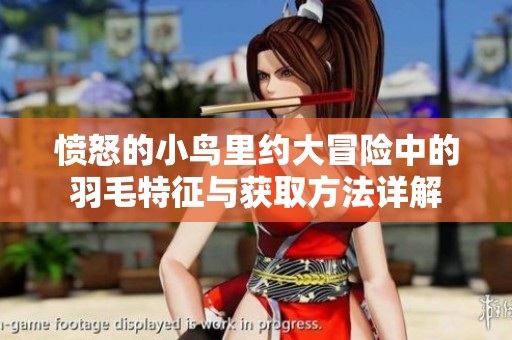 愤怒的小鸟里约大冒险中的羽毛特征与获取方法详解