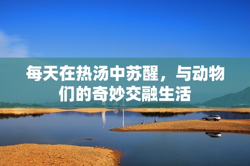 每天在热汤中苏醒，与动物们的奇妙交融生活