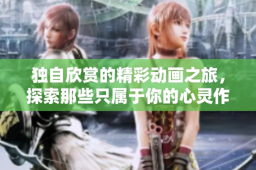 独自欣赏的精彩动画之旅，探索那些只属于你的心灵作品