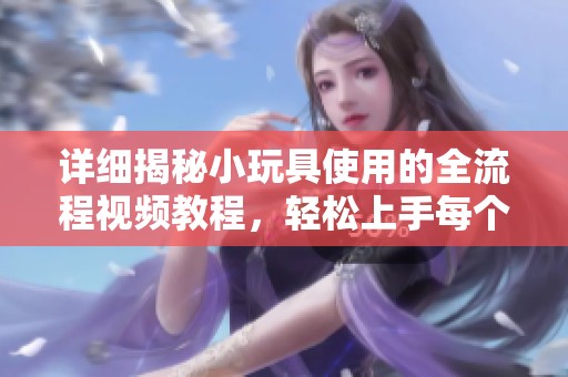 详细揭秘小玩具使用的全流程视频教程，轻松上手每个步骤