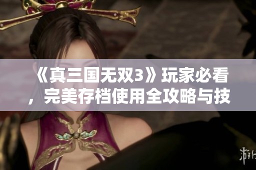 《真三国无双3》玩家必看，完美存档使用全攻略与技巧解析