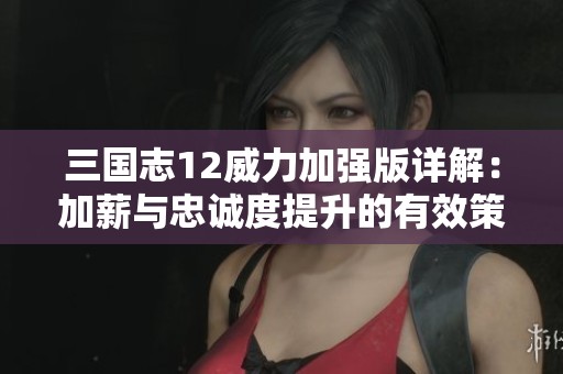 三国志12威力加强版详解：加薪与忠诚度提升的有效策略分析