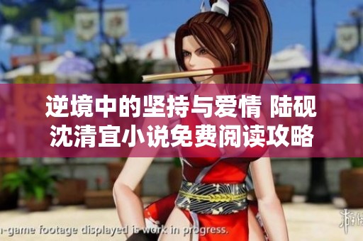 逆境中的坚持与爱情 陆砚沈清宜小说免费阅读攻略