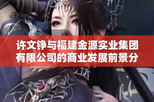 许文铮与福建金源实业集团有限公司的商业发展前景分析