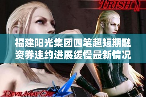福建阳光集团四笔超短期融资券违约进展缓慢最新情况揭晓