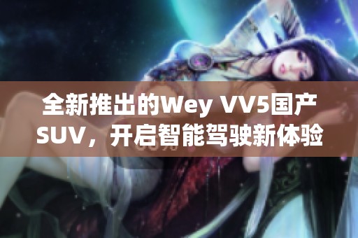 全新推出的Wey VV5国产SUV，开启智能驾驶新体验