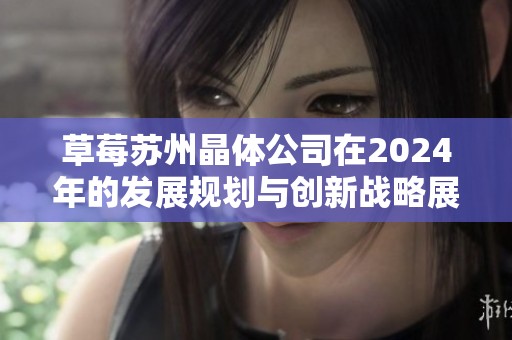 草莓苏州晶体公司在2024年的发展规划与创新战略展望