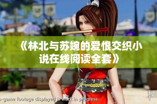 《林北与苏婉的爱恨交织小说在线阅读全套》