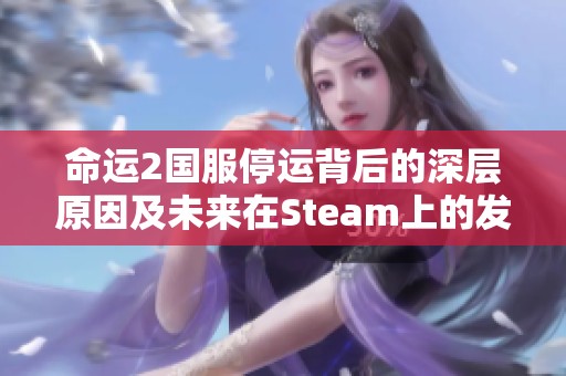 命运2国服停运背后的深层原因及未来在Steam上的发展契机分析