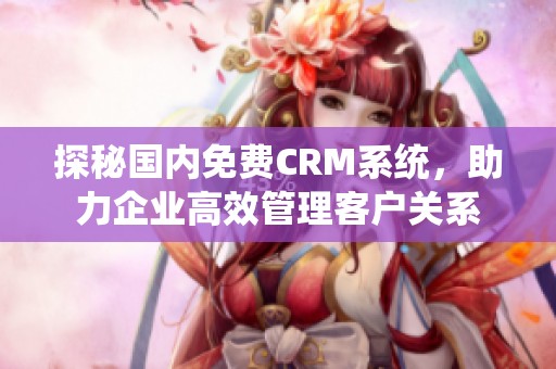 探秘国内免费CRM系统，助力企业高效管理客户关系