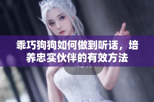 乖巧狗狗如何做到听话，培养忠实伙伴的有效方法