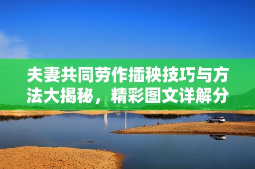夫妻共同劳作插秧技巧与方法大揭秘，精彩图文详解分享
