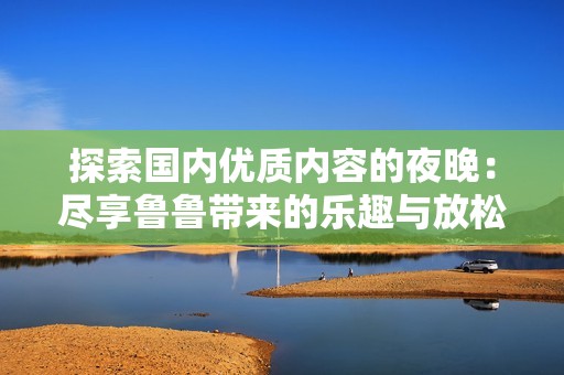 探索国内优质内容的夜晚：尽享鲁鲁带来的乐趣与放松