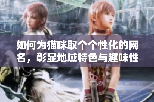 如何为猫咪取个个性化的网名，彰显地域特色与趣味性