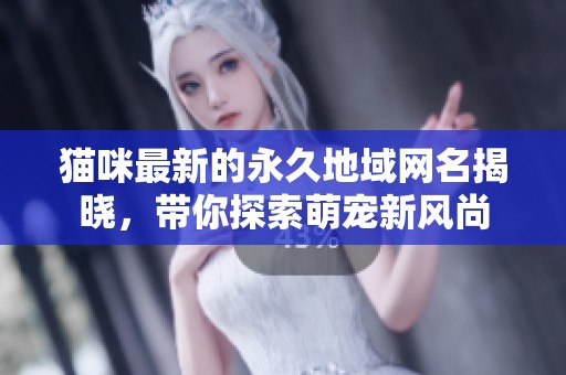猫咪最新的永久地域网名揭晓，带你探索萌宠新风尚