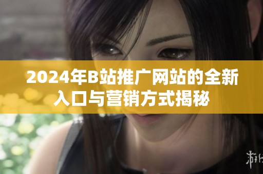 2024年B站推广网站的全新入口与营销方式揭秘