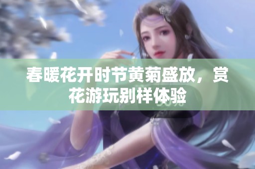 春暖花开时节黄菊盛放，赏花游玩别样体验