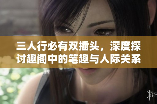 三人行必有双插头，深度探讨趣阁中的笔趣与人际关系
