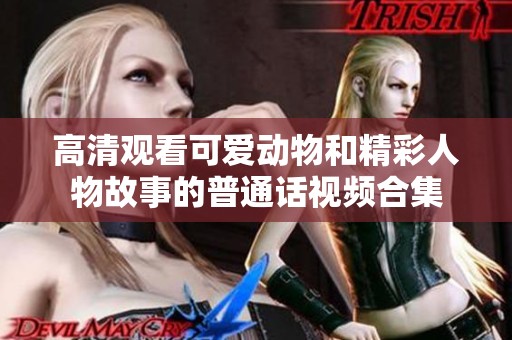 高清观看可爱动物和精彩人物故事的普通话视频合集