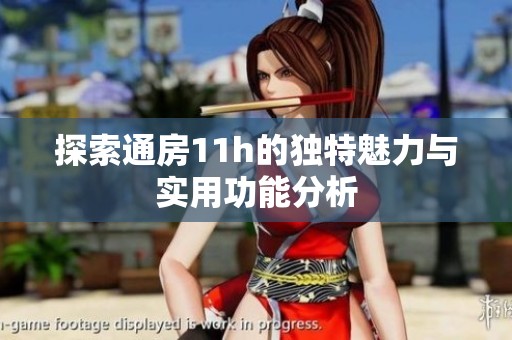 探索通房11h的独特魅力与实用功能分析