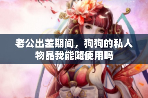 老公出差期间，狗狗的私人物品我能随便用吗