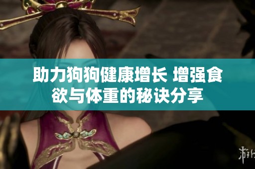 助力狗狗健康增长 增强食欲与体重的秘诀分享